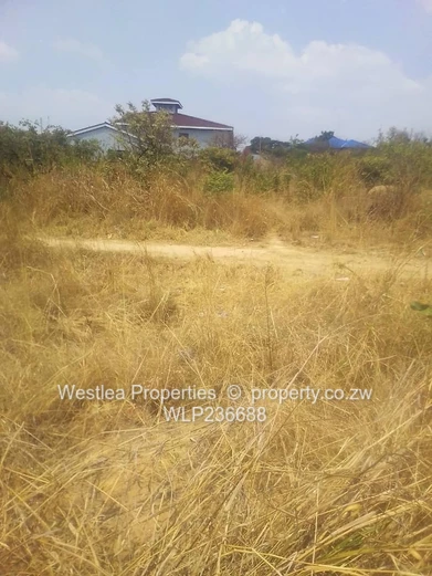 An opportunity not to miss