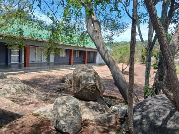 Farm & Agricultural Land