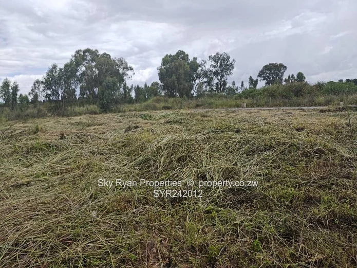 Pomona City Corner Stand For Sale