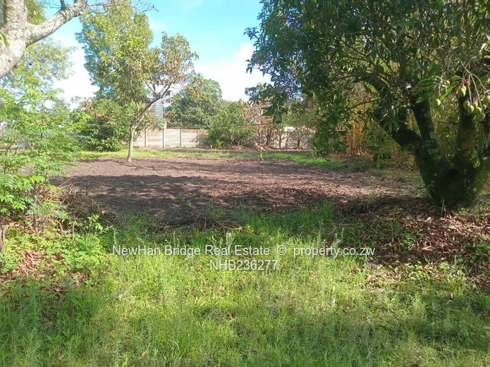 2300 m² Highfield Land with Cottage— Fenced & Tree-Shaded