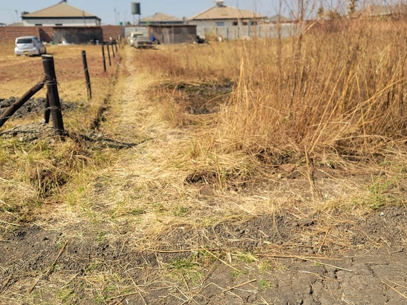 Stands & Residential Land