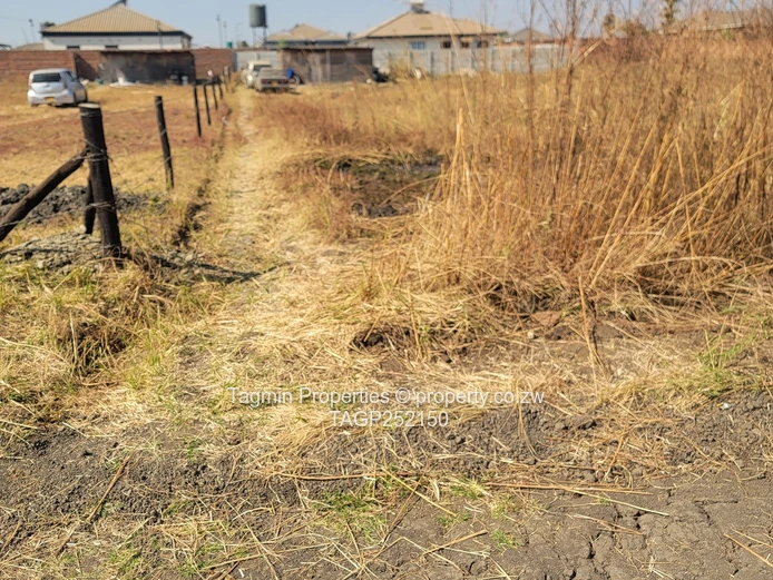 1250sqms Sandton 5minutes driving from Westgate  Ready to build clean developer cession  zesa availa (Sole Mandate)