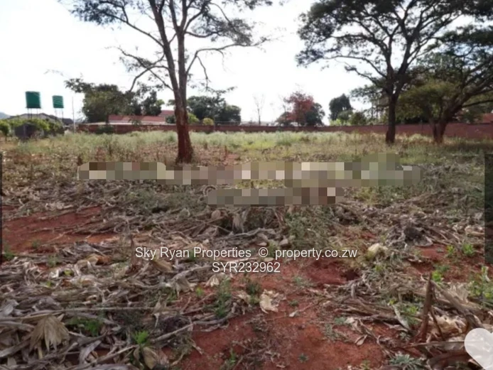 Borrowdale Luna Stand For Sale