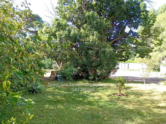 Residential Land For Sale In Mount Pleasant