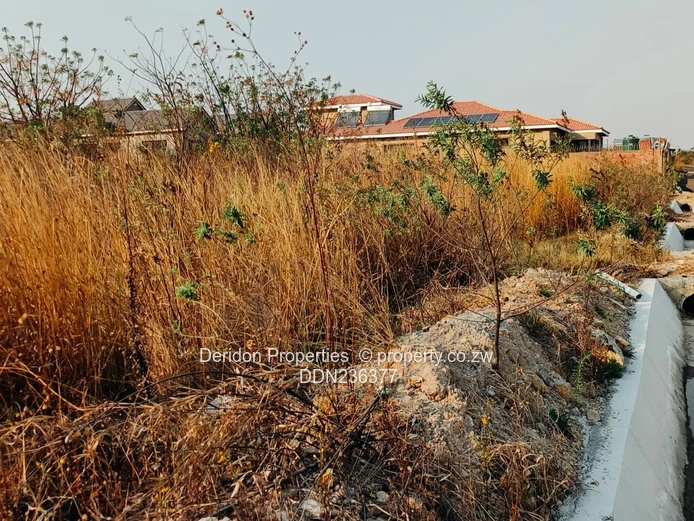 Build your dream home  (Sole Mandate)