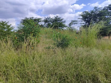 Commercial & Industrial Land