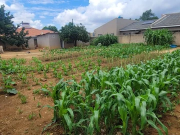 Stands & Residential Land