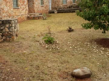 Farm & Agricultural Land