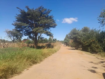 Stands & Residential Land