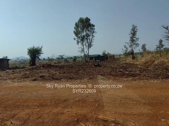 Crowhill Cleverhill stand for sale 