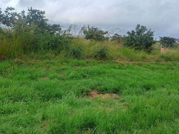 Commercial & Industrial Land