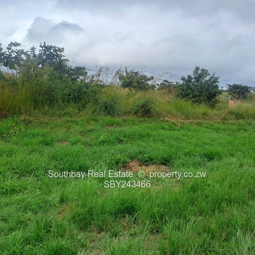  Grab this highway goldmine!  (Sole Mandate)