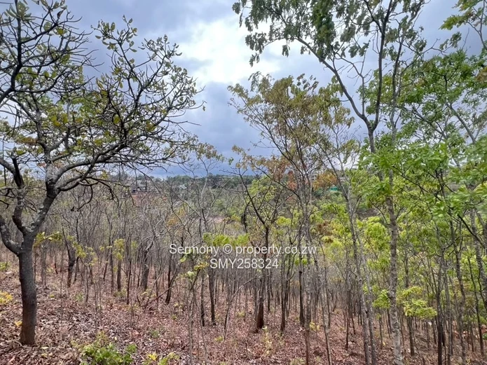 Exclusive Residential Stand In Brookeridge Estate