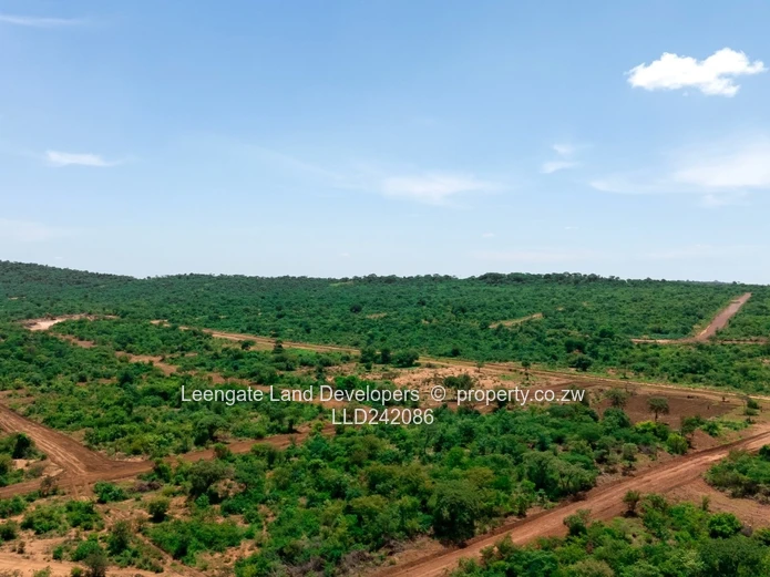 4ha Kadoma Farm — Main Road Frontage & Gravel Access (Sole Mandate)