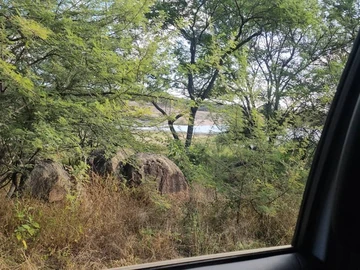 Farm & Agricultural Land