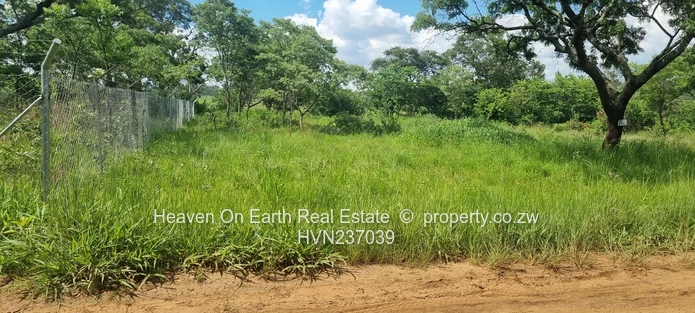 A Rare Opportunity To Own A Stand