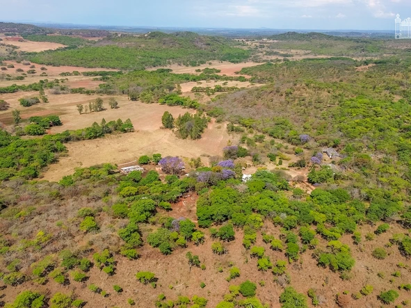 Farm & Agricultural Land