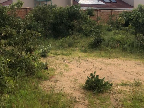 Stands & Residential Land