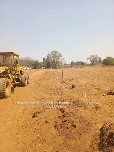 Marlborough New Cluster Stands For Sale 