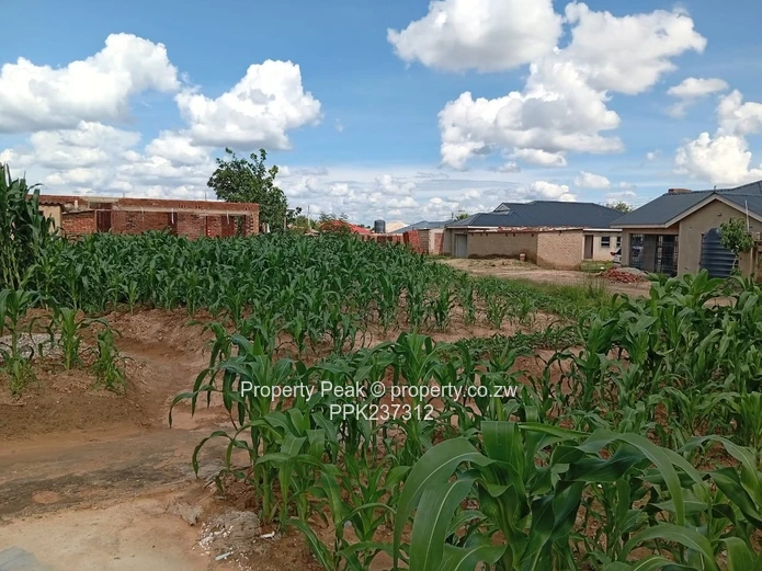 Budiriro 4 Corner Stand For Sale