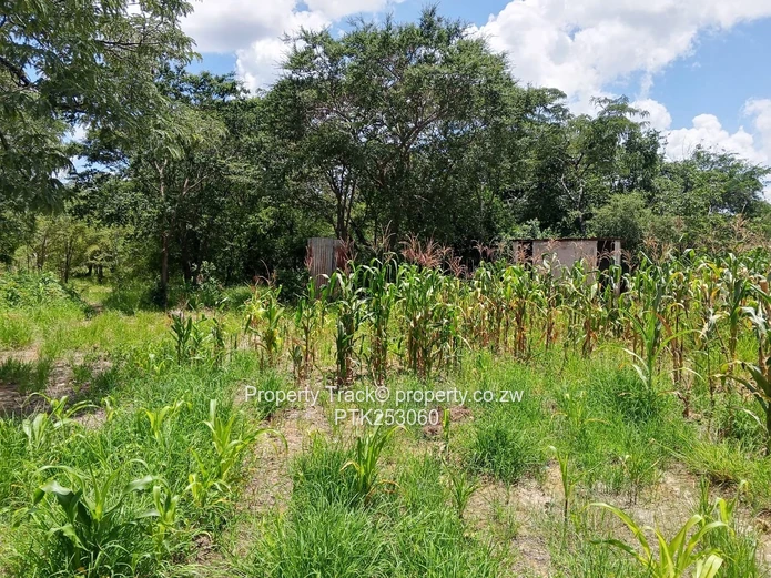 Agro-residential plot!