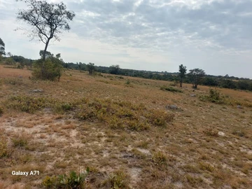 Farm & Agricultural Land