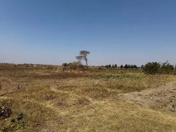 Farm & Agricultural Land