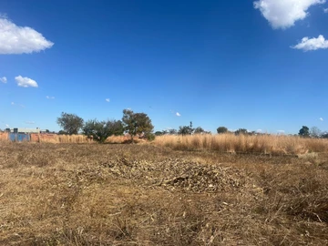 Stands & Residential Land