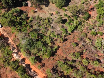 Farm & Agricultural Land