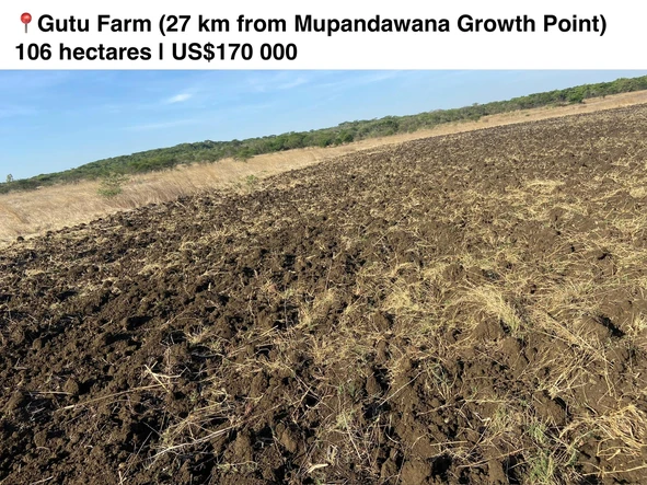 Farm & Agricultural Land