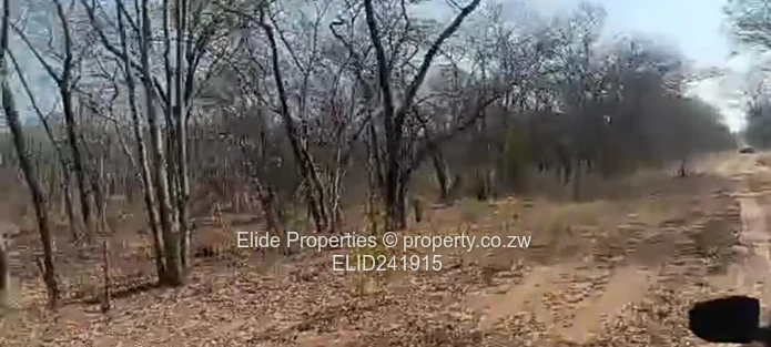 1,130ha Gokwe Farm — Gravel Roads, Grazing & Kraal (Sole Mandate)