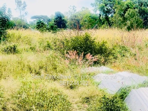 Hatfield 3,141m² Subdivision with Title Deeds land 