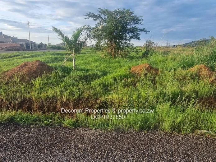 800m²- 1 200  Stand in Haydon Shine Plus— Tarred Roads