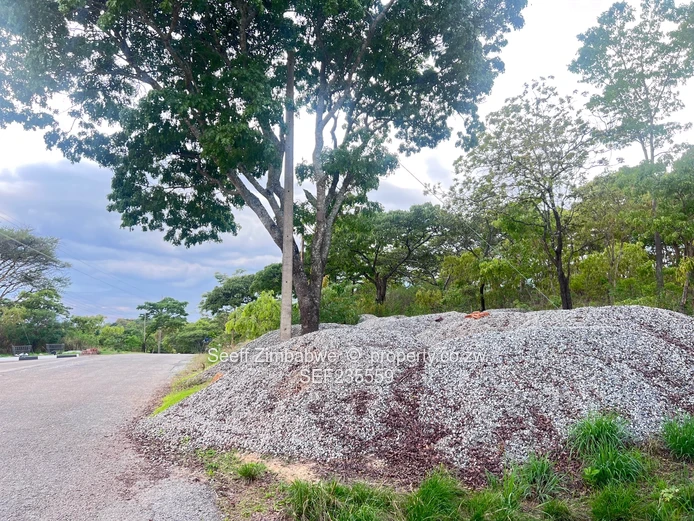 Prime land in Folyjon Crescent. Perfect location (Sole Mandate)