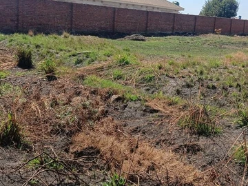 Stands & Residential Land
