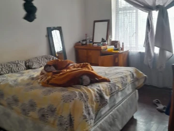 Shop & Retail Property