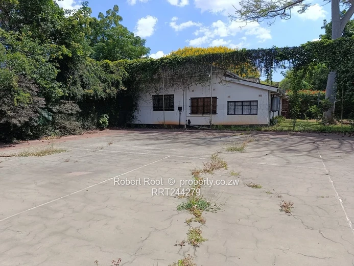 Commercial Property To Rent In Avondale