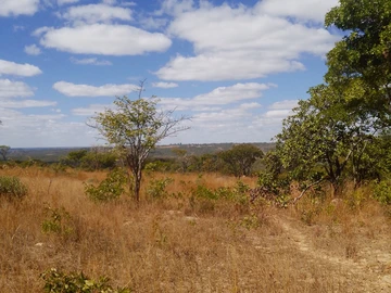 Farm & Agricultural Land