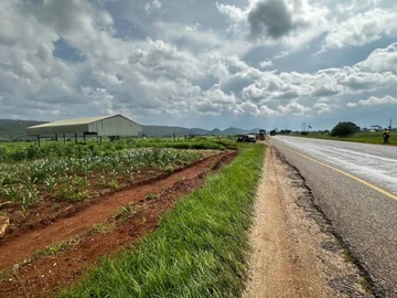 Farm & Agricultural Land