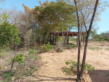 Farm & Agricultural Land