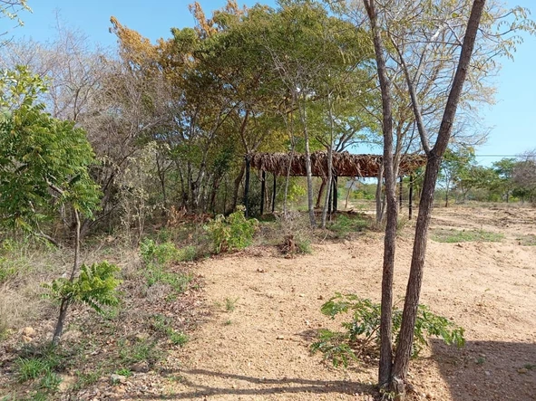 Farm & Agricultural Land