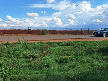 Commercial & Industrial Land