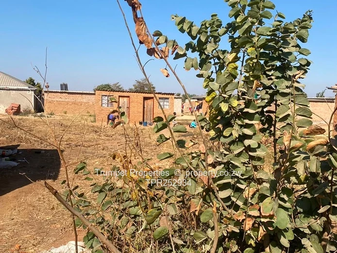 Compact 1-Bed Brick Home with Yard in Southlea Park