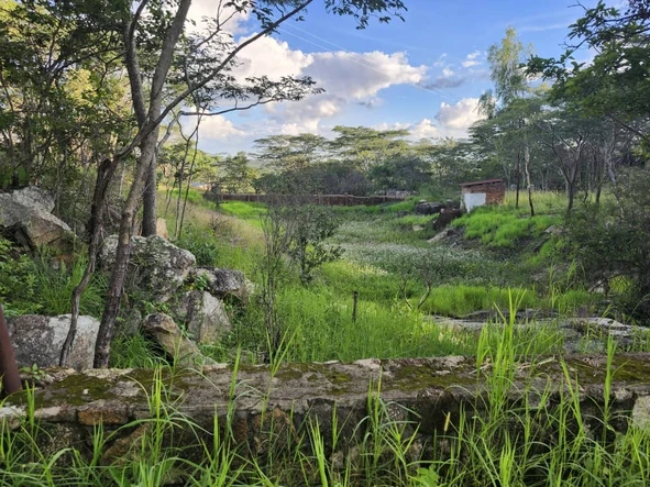 Farm & Agricultural Land