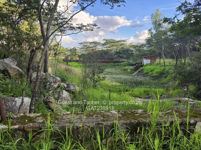 Ruwa Agro Residential Plot for Sale - 3.88ha with Farmhouse and Excellent Water Infrastructure