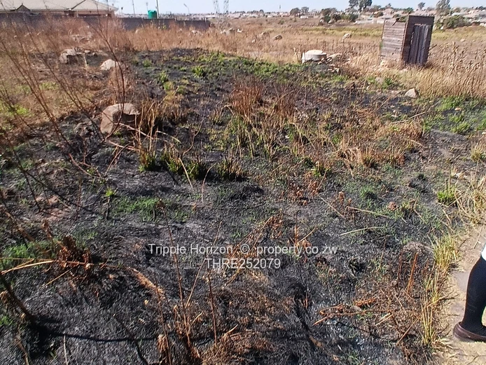 908m² Stand with Tarred Road, Sewer & Water – Zimre Park