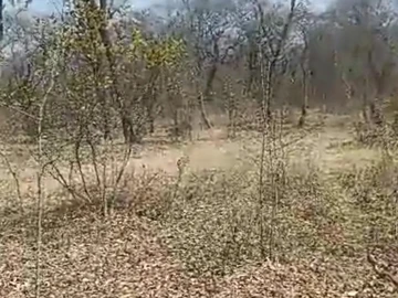 Farm & Agricultural Land