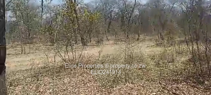 1,130ha Gokwe Farm — Gravel Roads, Grazing & Kraal (Sole Mandate)