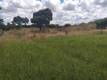 Farm & Agricultural Land