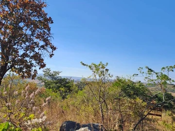 Nyanga Juliasdale 1ha plots for holiday homes. 20k , balance 8months